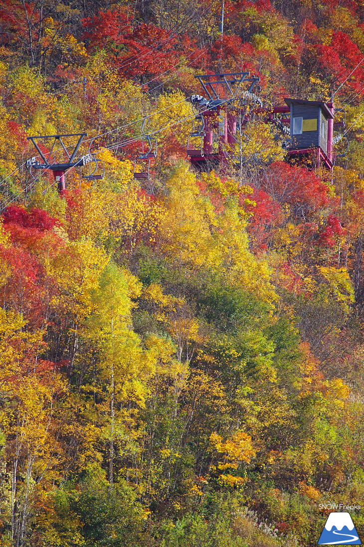 手稲山 2017 紅葉前線、順調に下山中！